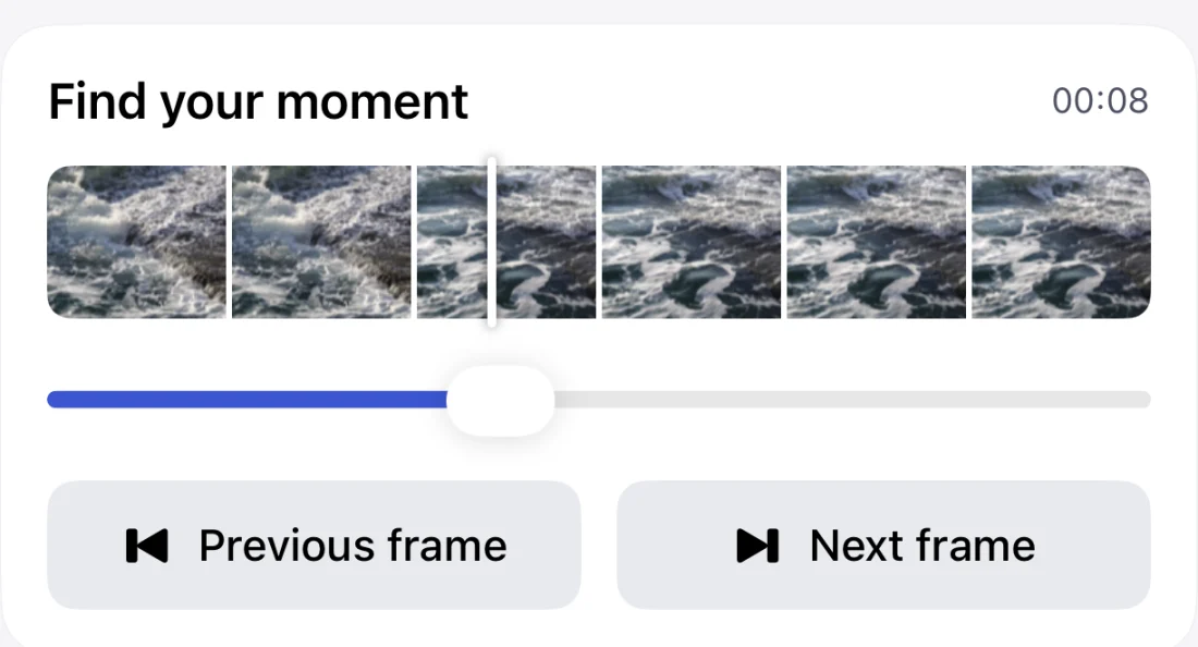 The 1.2 thumbnail timeline with previous and next frame controls